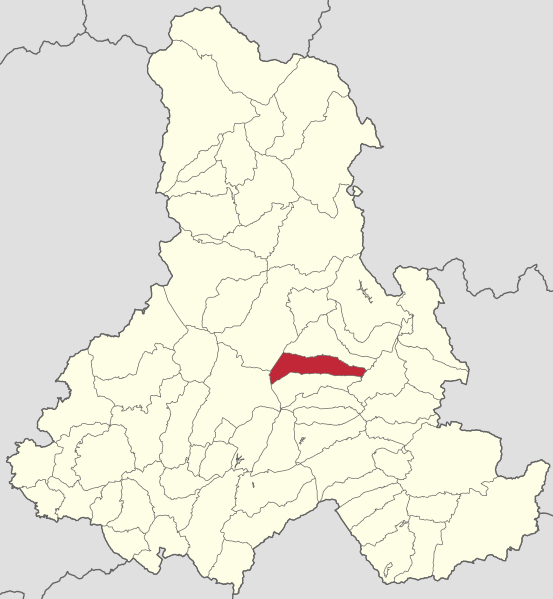 ملف:Danesti jud Harghita.svg