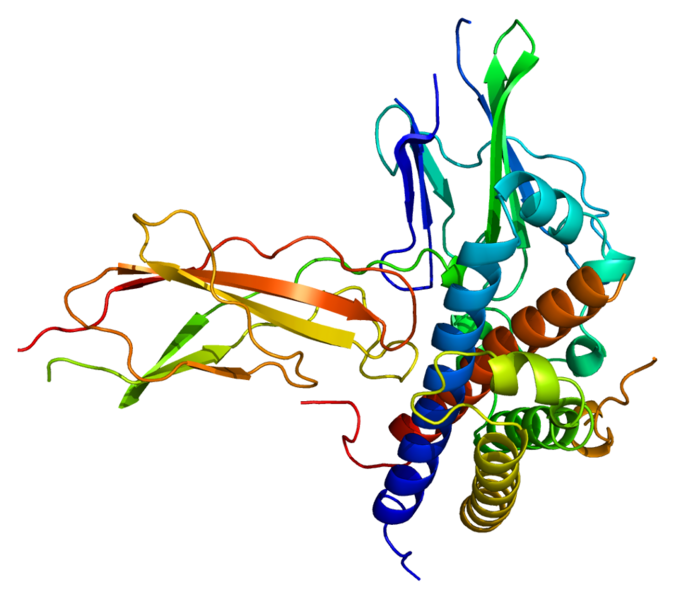 ملف:Protein GH1 PDB 1a22.png