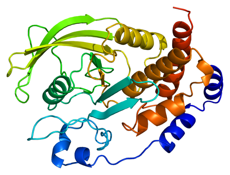 ملف:Protein PTPN1 PDB 1a5y.png