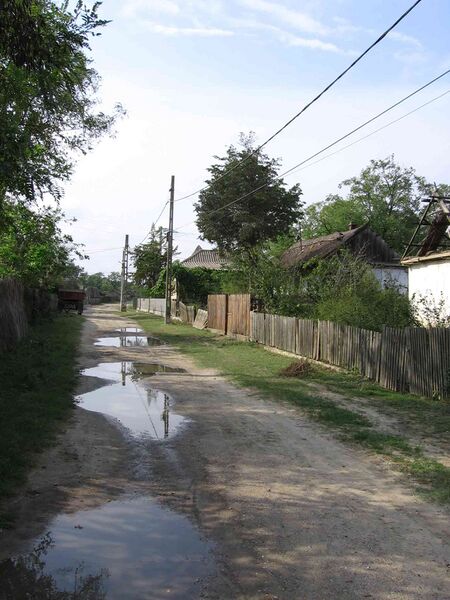 ملف:Sfantu Gheorghe.jpg