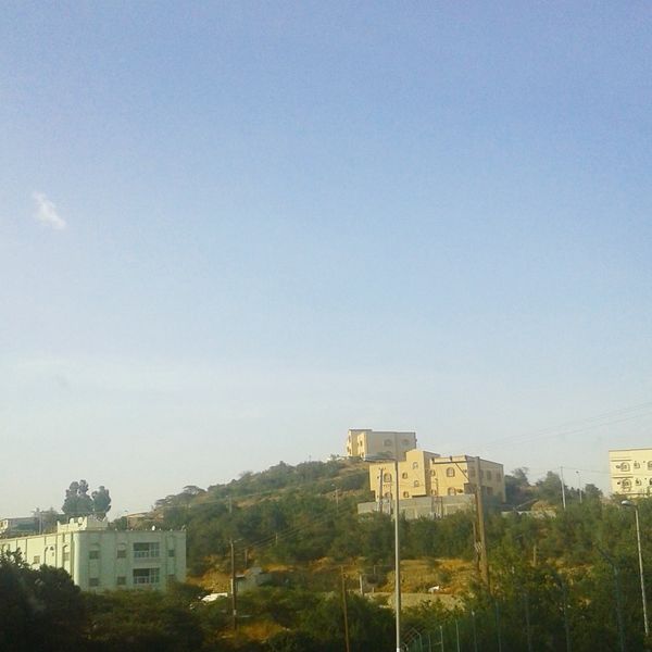 ملف:Albaha9021 - 2.jpeg