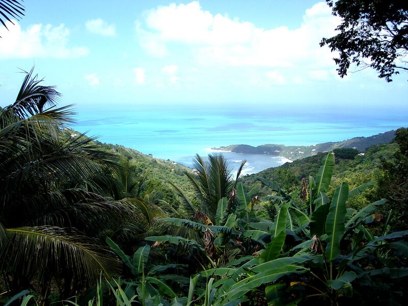 ملف:Tortola.jpg