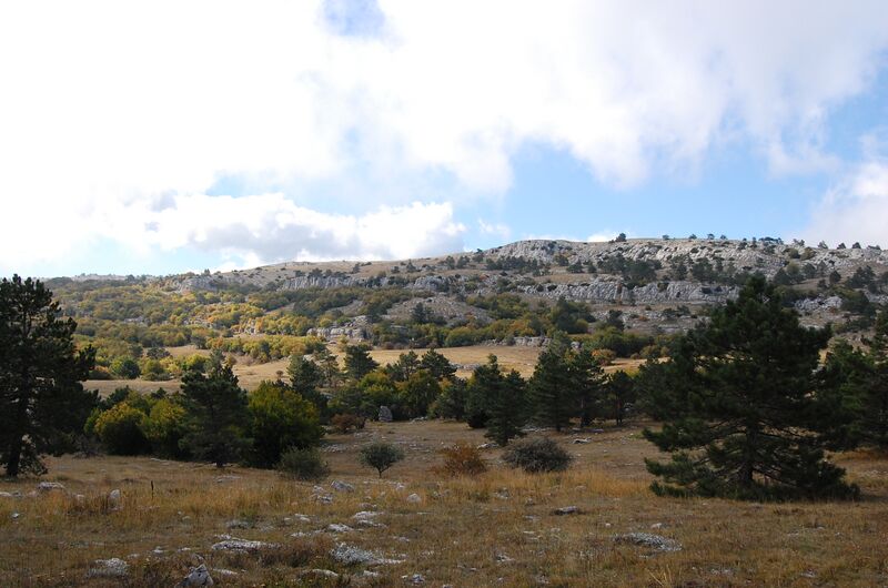 ملف:Ay-Petri yayla.JPG