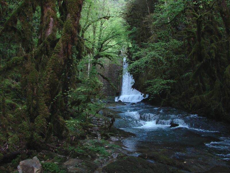 ملف:La Mandorne.JPG