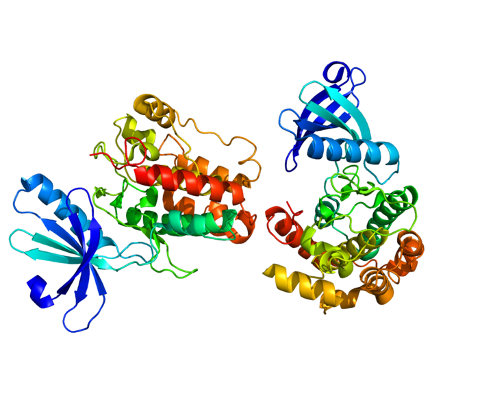 ملف:Protein CAMK2D PDB 2VN9.png