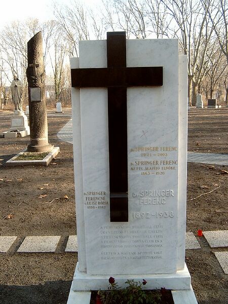 ملف:Springer Ferenc sírja.jpg