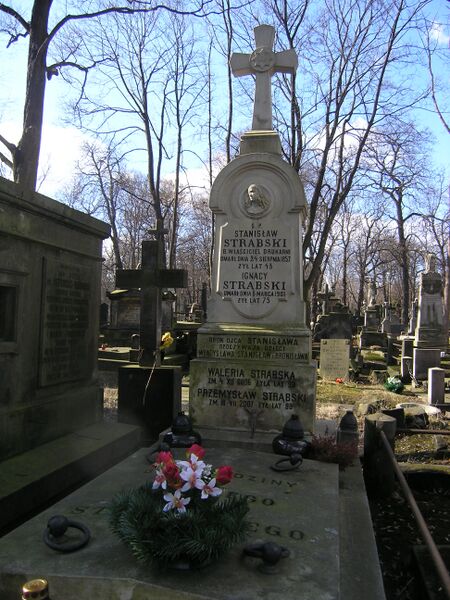 ملف:Stanisław Jan Strąbski grób.JPG