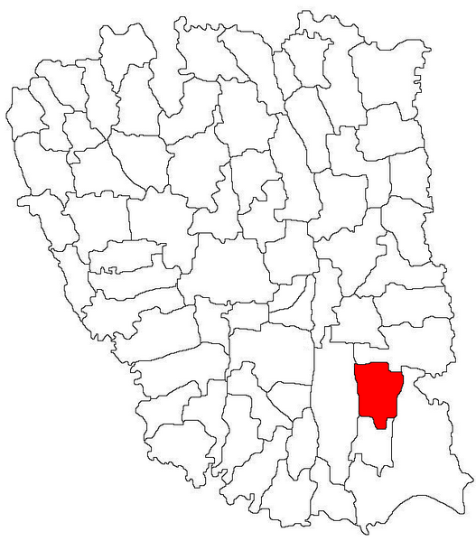 ملف:Tulucesti jud Galati.png