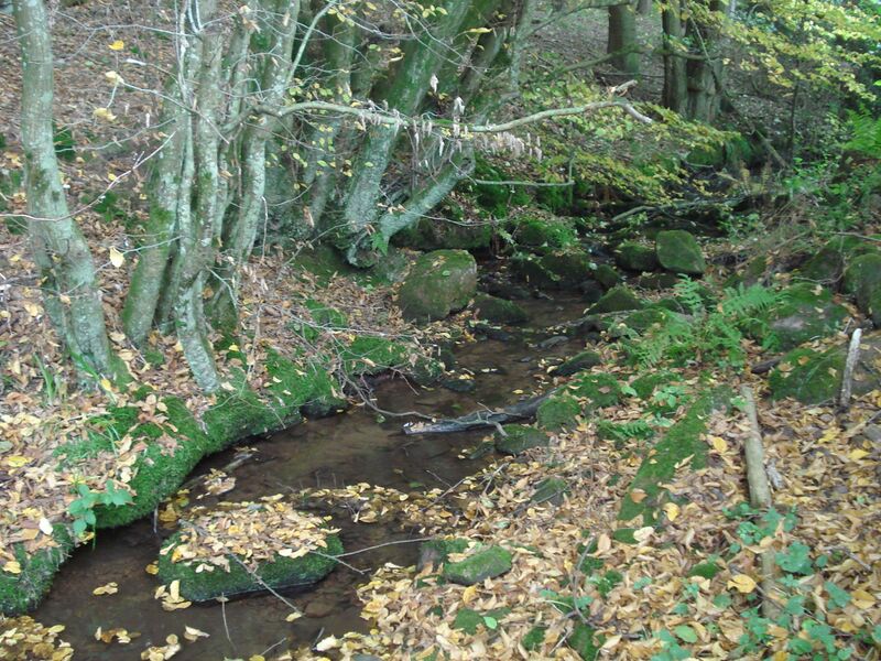 ملف:Winterbach (Morre).JPG