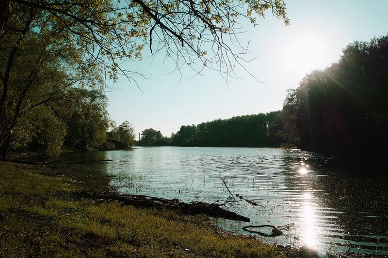 ملف:Смирновский пруд.JPG