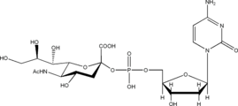 CMP-NeuNAc