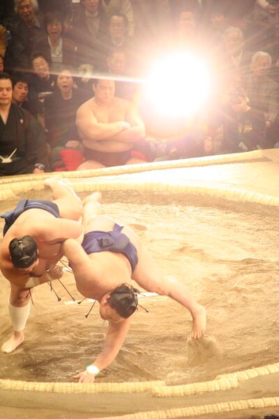 ملف:Flashlight effect Sumo Jan08.jpg