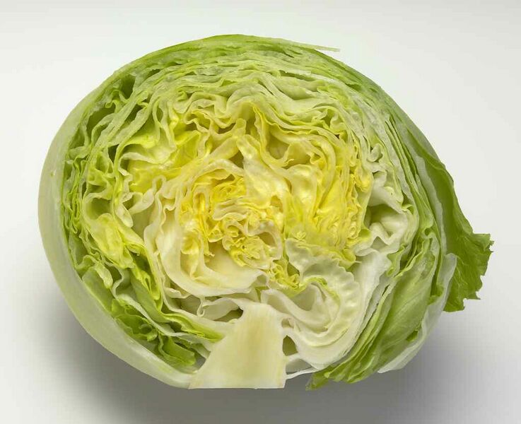 ملف:Iceberg2.jpg