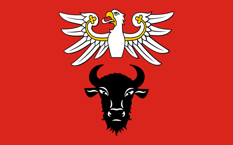 ملف:POL powiat zambrowski flag.svg