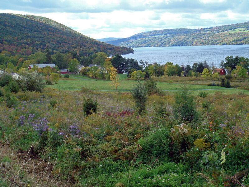 ملف:Canandaigua Lake scenic.jpg