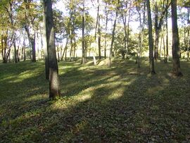 Effigy Mounds Iowa Sny Magill.JPG