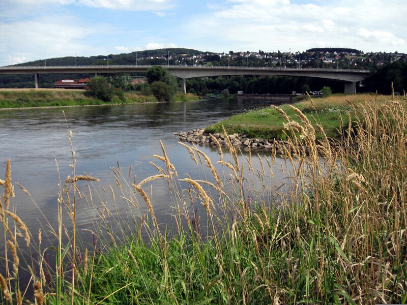 ملف:Forellenbach 2009-07-21-0785.jpg