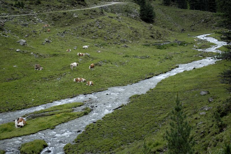 ملف:Kaseralm mit Fotscherbach.JPG