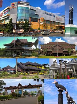 From top, left to right: Shopping complex in Pontianak, The Pontianak Equatorial Monument, Some of the official government buildings, Traditional Malay House, Traditional Borneo birds sculpture, Road gate of Pontianak city, Enggang Badak sculpture.