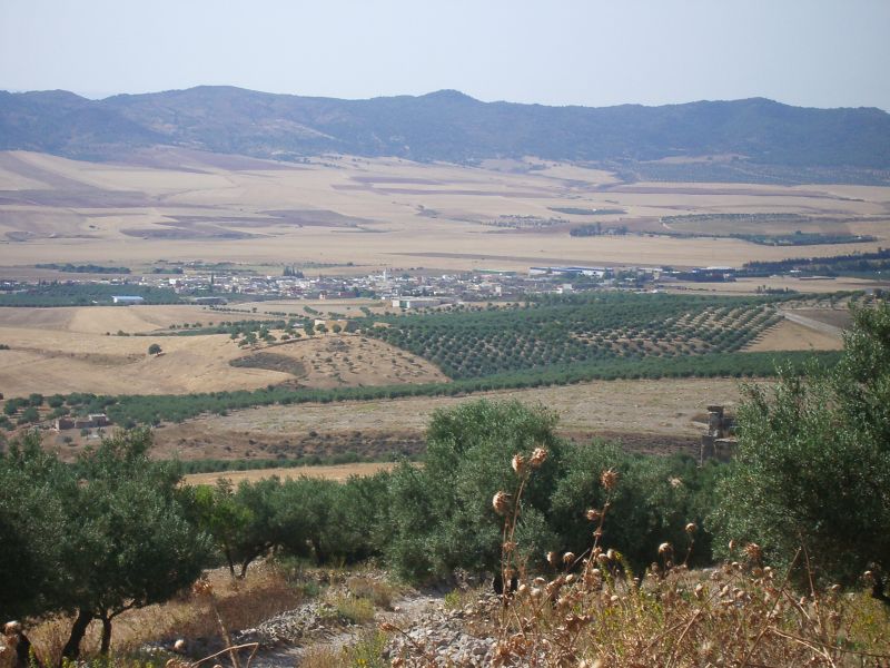 ملف:IMGP7281.JPG