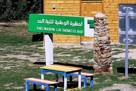 المرافق السياحية