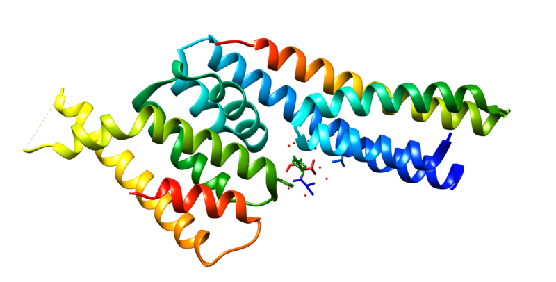 ملف:ASPM protein.png