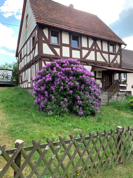 ملف:Ehrenhaus Bobenhausen II.jpg