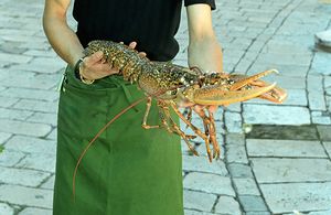 Photo of person holding a large, live lobster