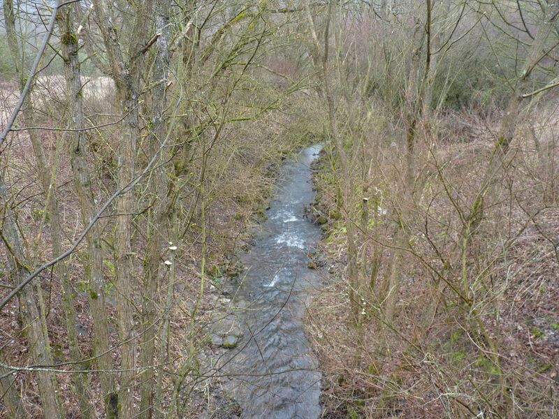 ملف:Laskó Stream 02.jpg