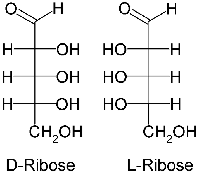 ملف:DL-Ribose.PNG
