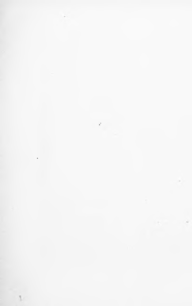 ملف:Le aquile della steppa.djvu