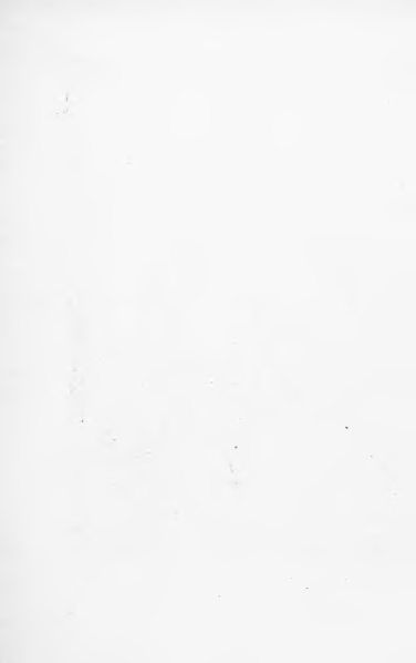 ملف:Le aquile della steppa.djvu