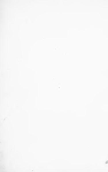 ملف:Le aquile della steppa.djvu