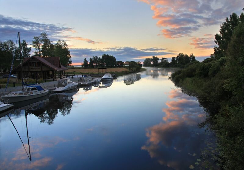 ملف:Oiu sadam 2013.jpg