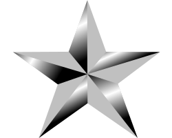 ملف:Ribbonstar-silver.svg