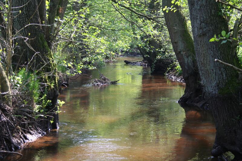 ملف:Veerse bei Westervesede.jpg