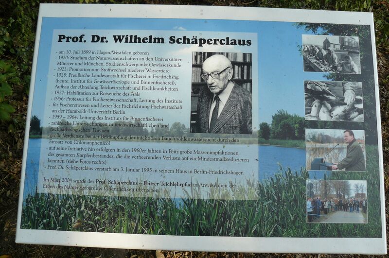 ملف:Wilhelm Schaperclaus.JPG