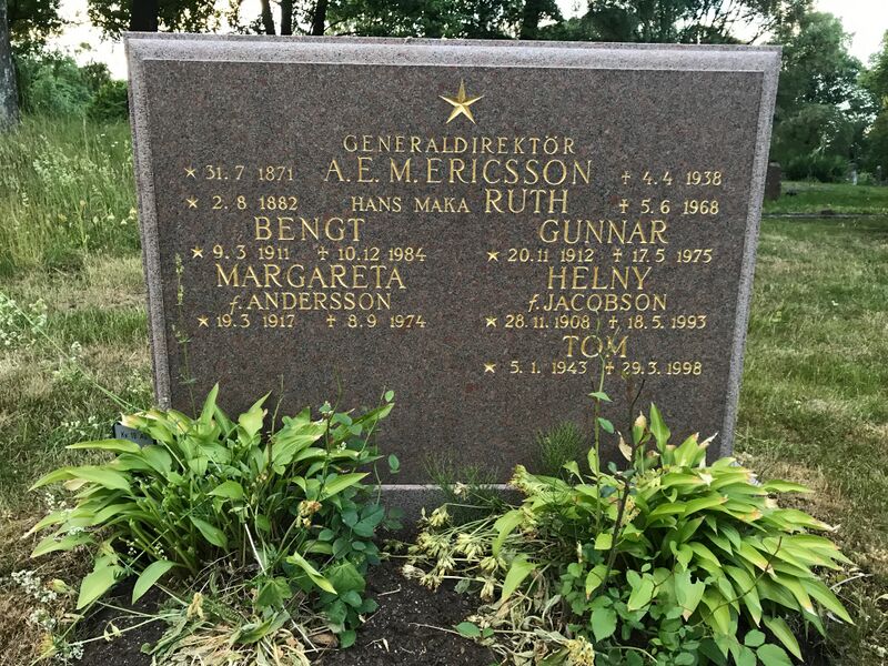 ملف:AEMEricsson grav.jpeg