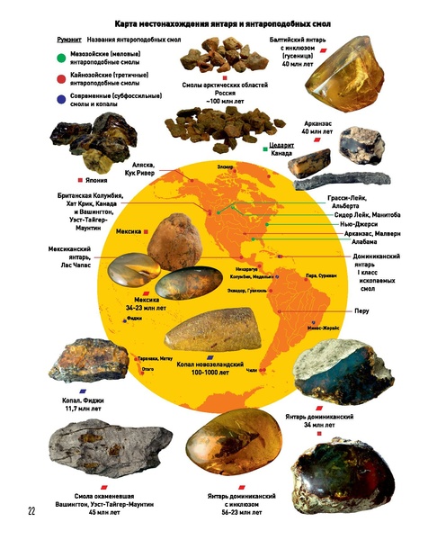 ملف:Amber Book.pdf