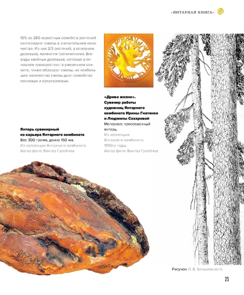 ملف:Amber Book.pdf