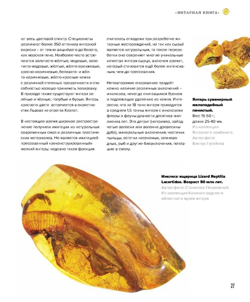 ملف:Amber Book.pdf