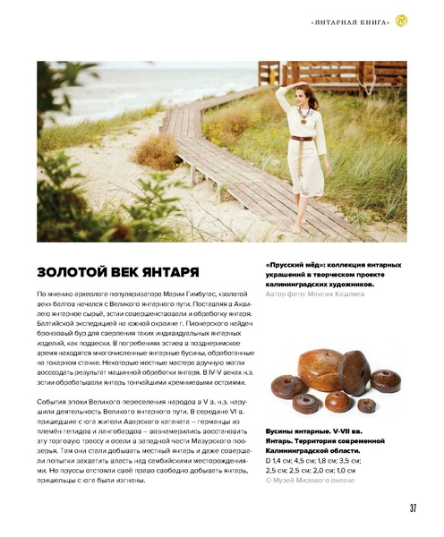 ملف:Amber Book.pdf