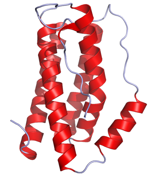 ملف:IL6 Crystal Structure.rsh.png