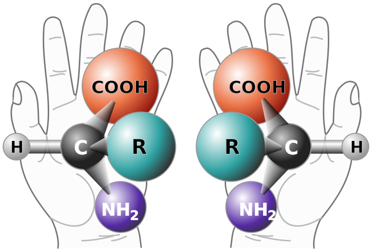 ملف:Chirality with hands.svg