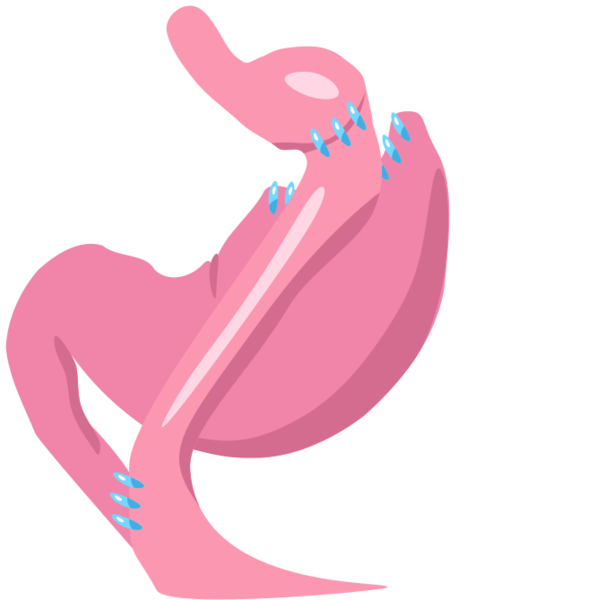 ملف:Gastric bypass icon.svg
