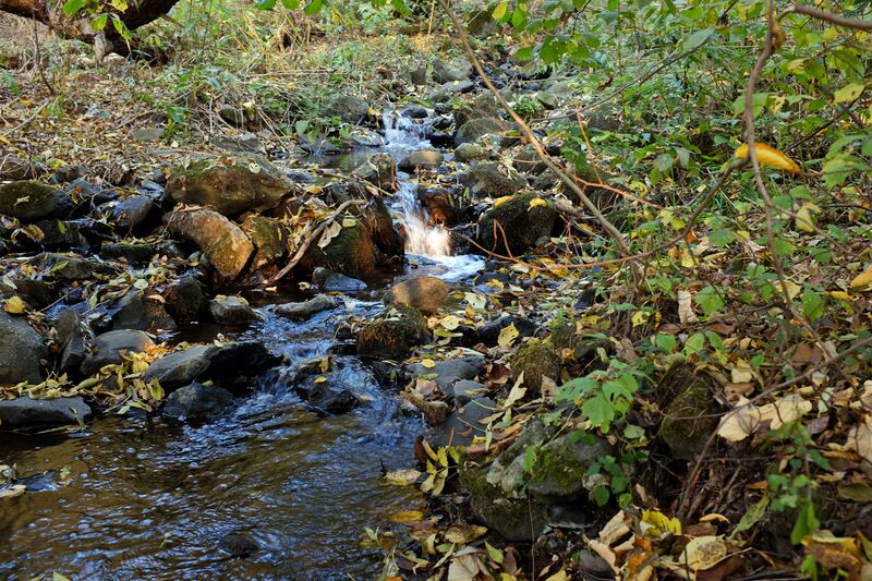 ملف:Korunní potok (1).jpg