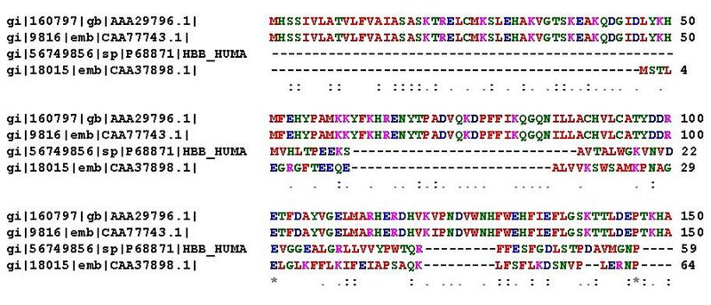 ملف:Protein alignment.jpg