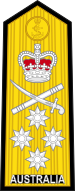 Australian admiral's shoulder board.