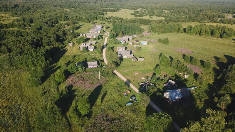 ملف:Тимофеево (Кирилловский район).jpg