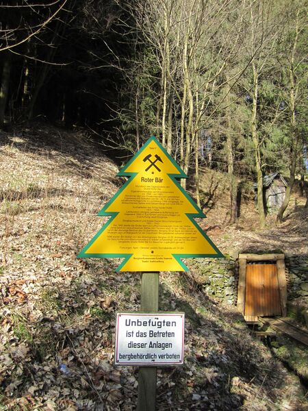 ملف:Dennerttanne Roter Bär.jpg